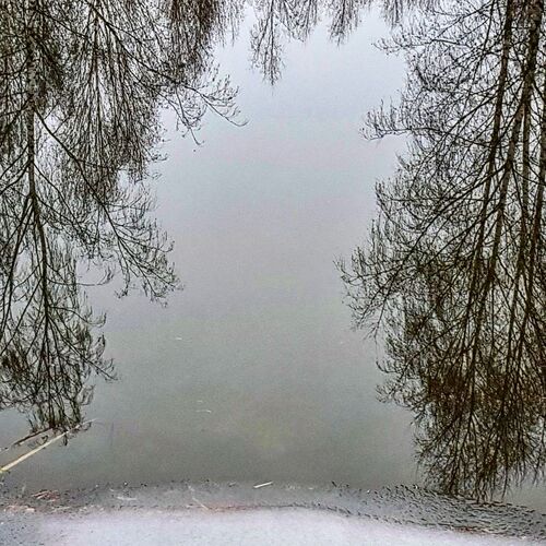 Photo #5305208