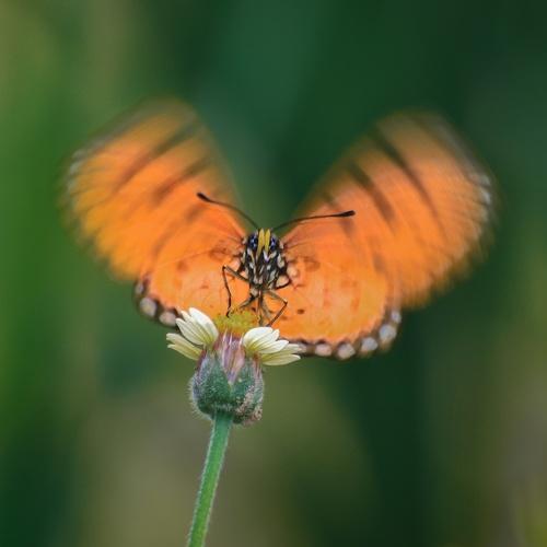 Photo #5305315