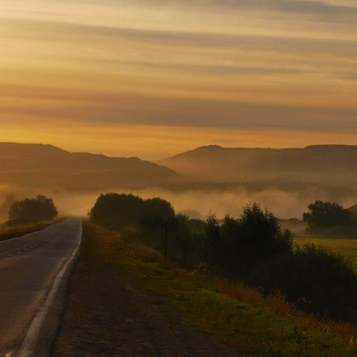 Photo #5305494