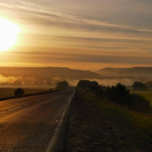 Photo #5305495