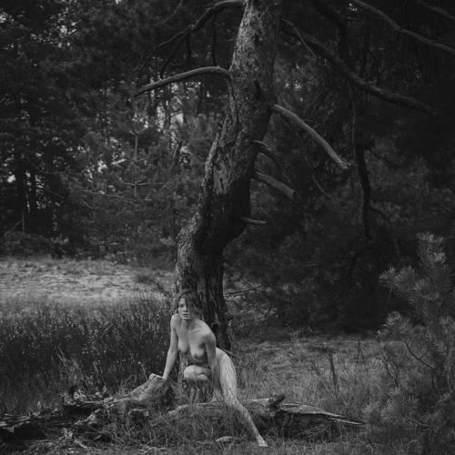 Photo #5305519