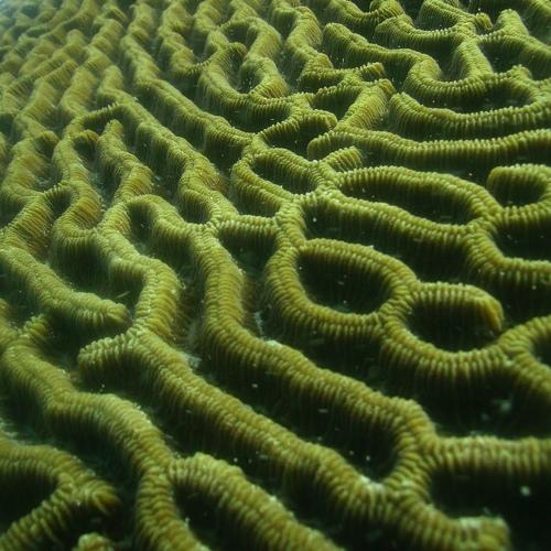 Photo #5305835