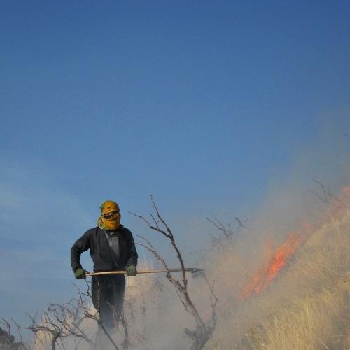 Photo #5306123
