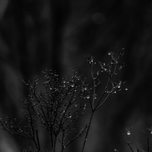 November
