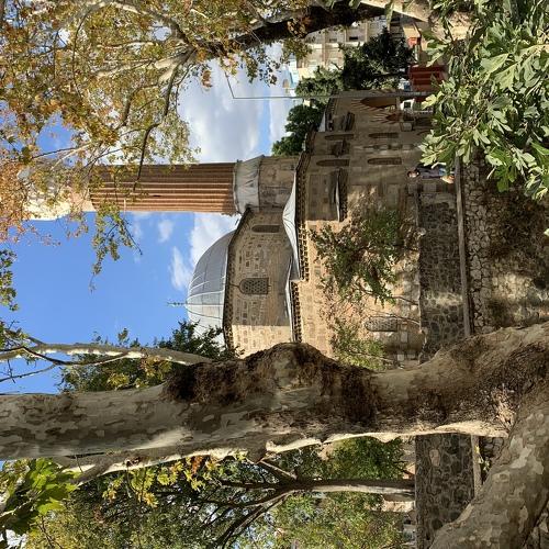 Photo #5306438