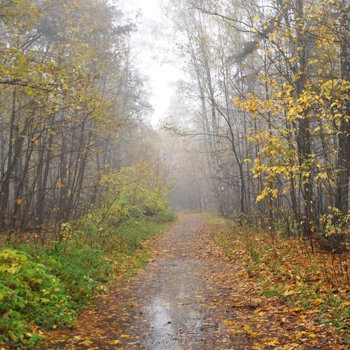 Photo #5307065