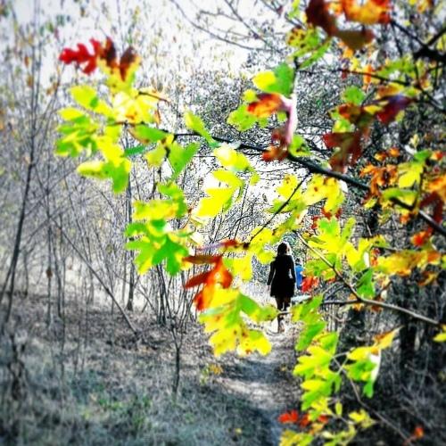 Photo #5307253