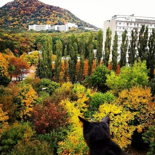 Photo #5307269