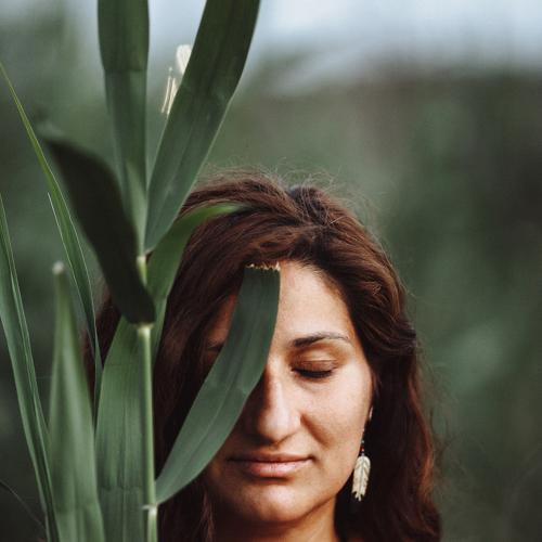 Photo #5307604