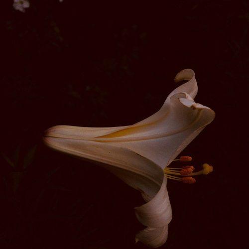 Photo #5307723