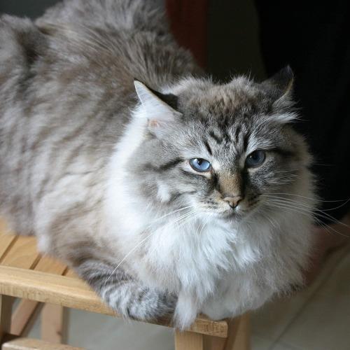 Photo #5307742