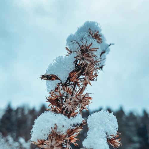 Photo #5307930