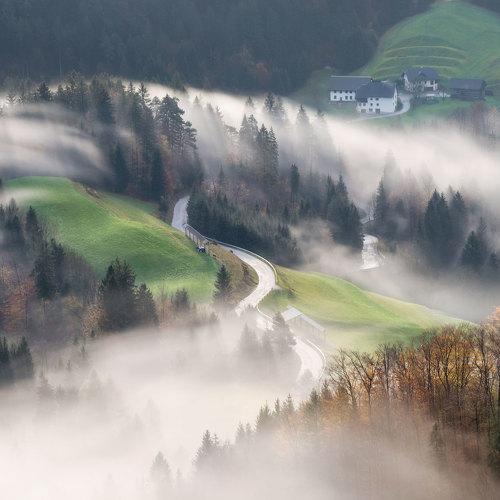 Photo #5308086
