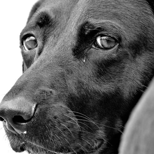 Photo #5308113