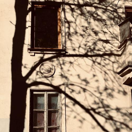 Photo #5308213