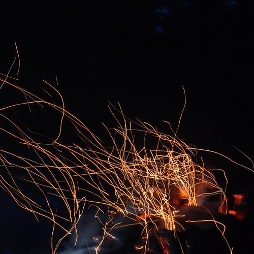 Photo #5308645