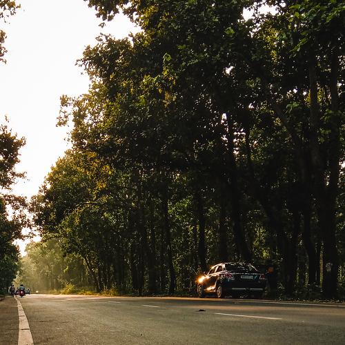 The Autumn falls