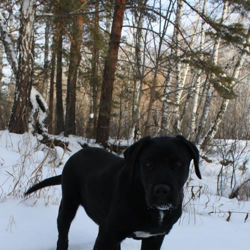 Photo #5308941