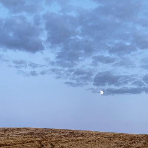 Waxing crescent