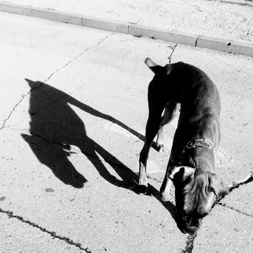 Photo #5309159