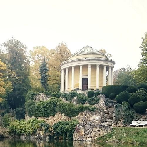 Photo #5309773