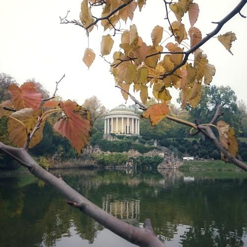 Photo #5309795