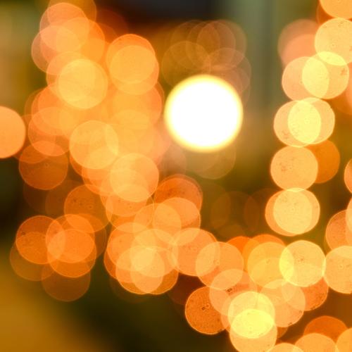 Photo #5309842