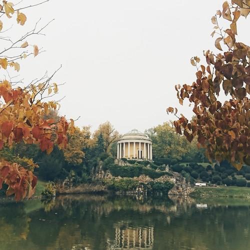 Photo #5309902