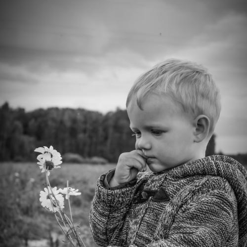 Photo #5310511