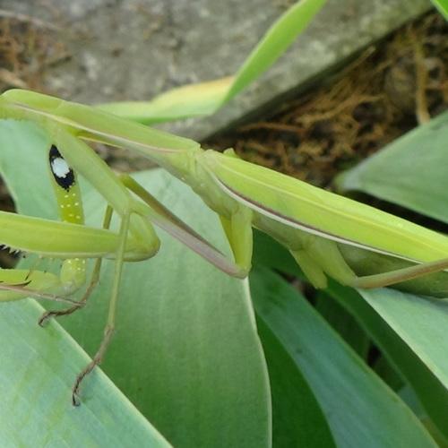 Photo #5310513