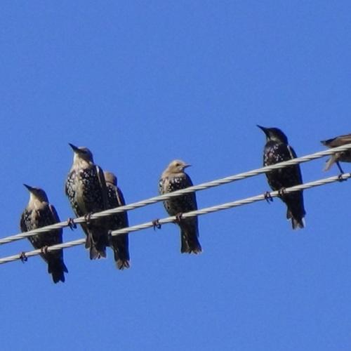 Photo #5310537