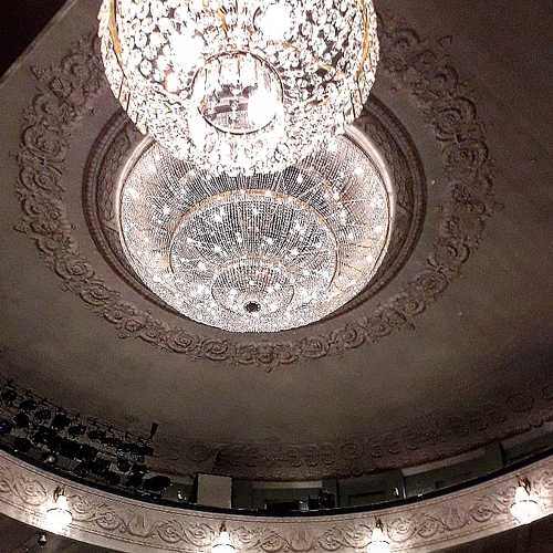 Photo #5310611