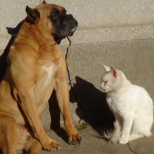 Photo #5310781
