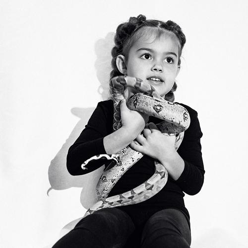Photo #5311792