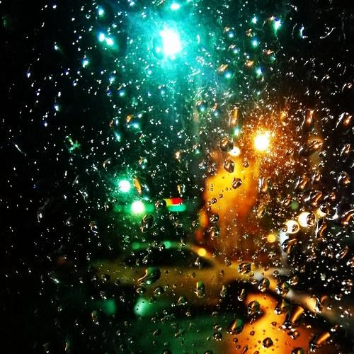 Photo #5311834