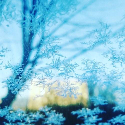 Photo #5311837