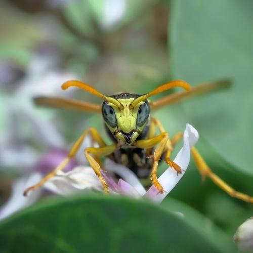 Photo #5311890