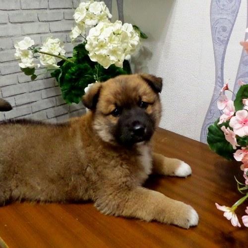 Photo #5311916