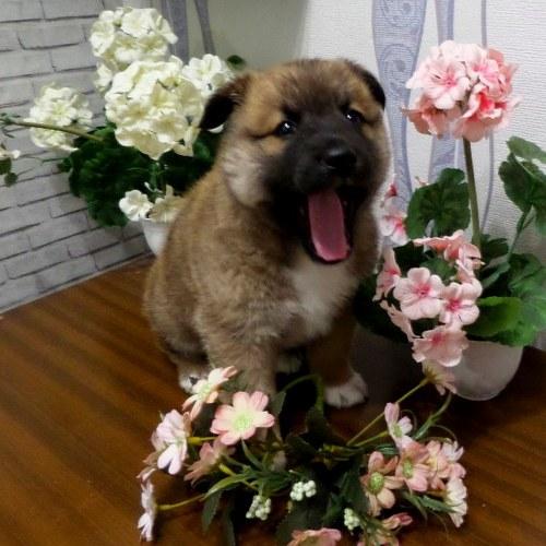 Photo #5311923