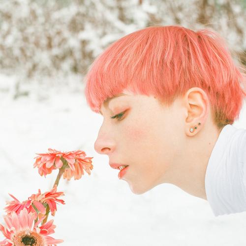 Photo #5311936