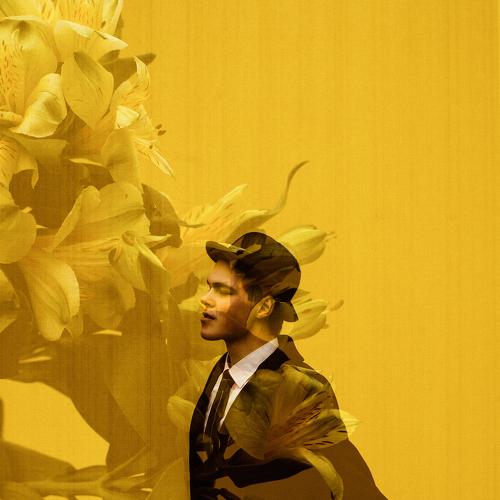 Photo #5311966