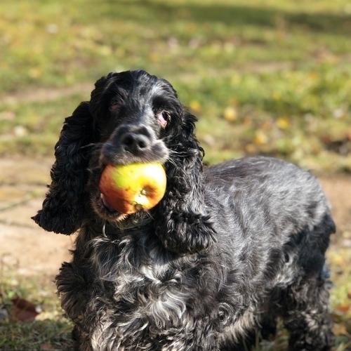 Photo #5312370