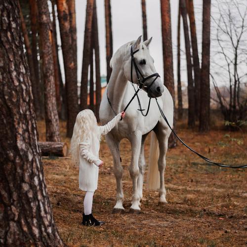 Photo #5312594