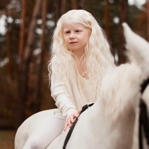Photo #5312609