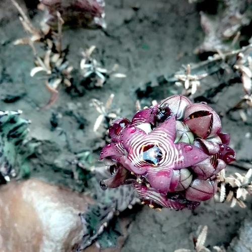 Photo #5313183