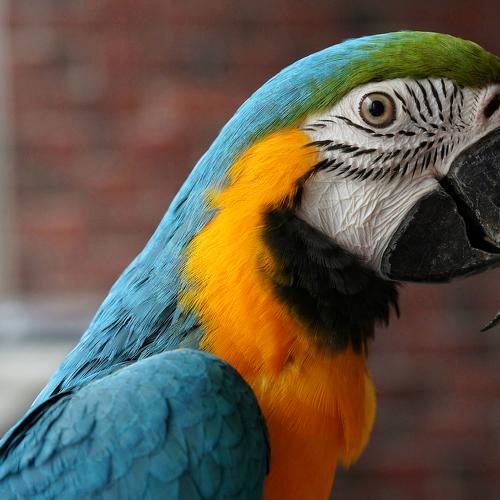 Photo #5313366