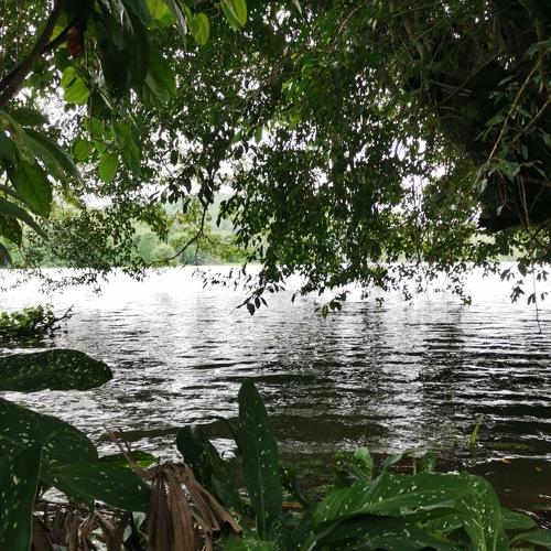 Photo #5313507