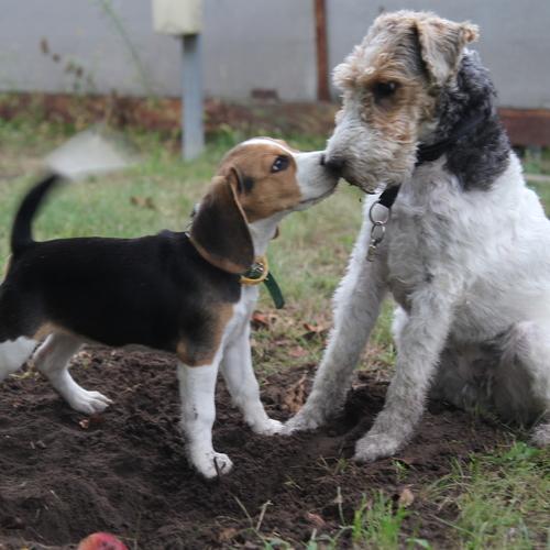 Photo #5313808