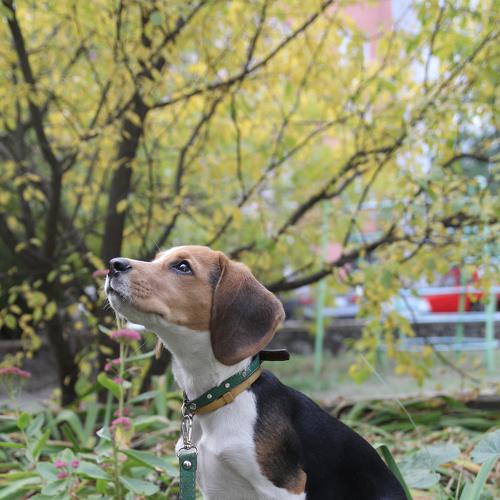 Photo #5313826