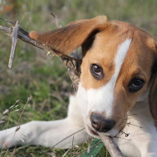 Photo #5313828